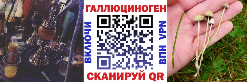 Купить закладки  Волгодонск  Псилоцибиновые грибы мухоморы 